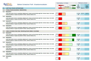 audit krisenmanagement, krisenmanagement audit